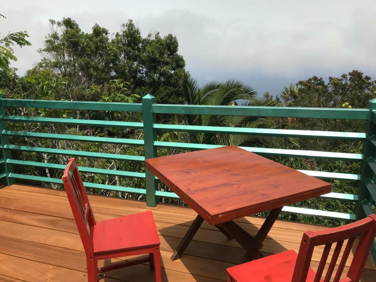 Finca Pura Vida Blockhaus Mazo Kültér fotó